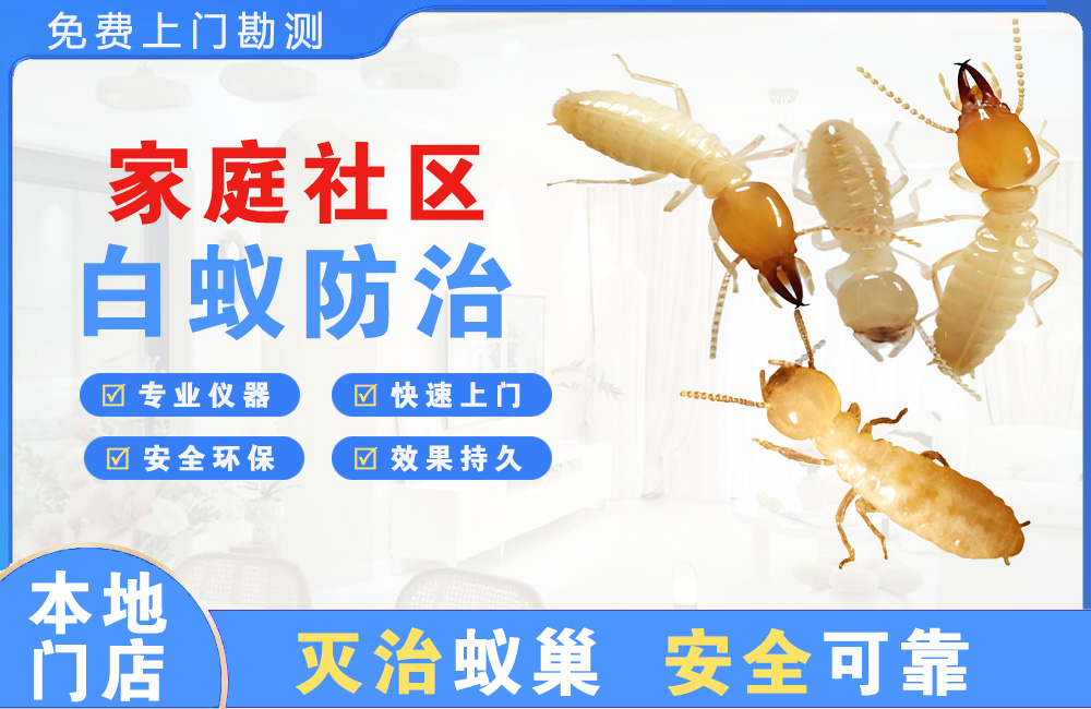 普洱家庭社区白蚁防治