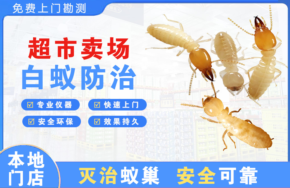普洱超市卖场白蚁防治