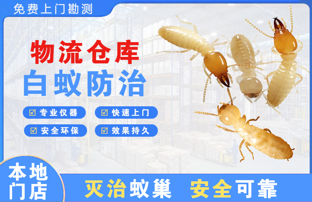 普洱物流仓库白蚁防治