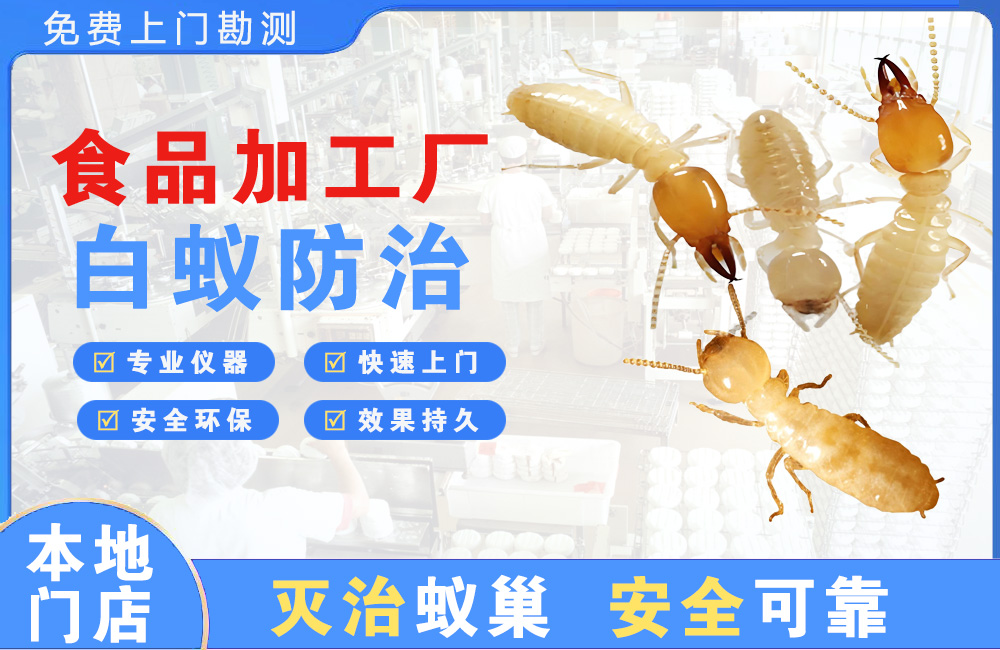 普洱食品加工厂白蚁防治