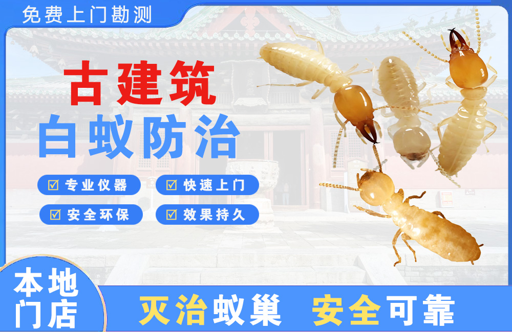 普洱古建筑白蚁防治