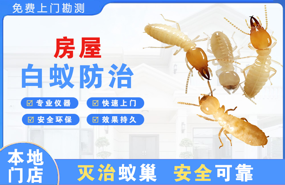 普洱房屋白蚁防治