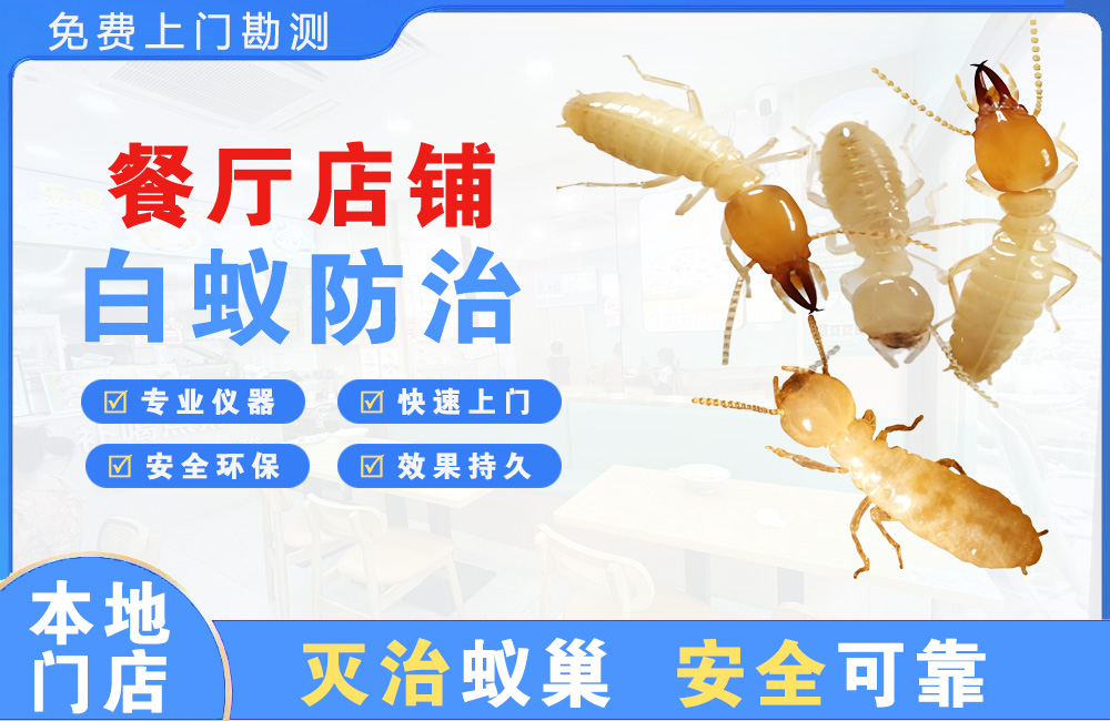 普洱餐厅店铺白蚁防治